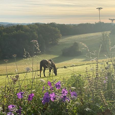 Domaine De Cazal - Gite 2 Pers Avec Piscine Au Coeur De 26 Hectares De Nature Preservee Villa แซงต์-ซีเพรียง ภายนอก รูปภาพ