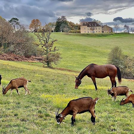 Domaine De Cazal - Gite 2 Pers Avec Piscine Au Coeur De 26 Hectares De Nature Preservee Villa แซงต์-ซีเพรียง ภายนอก รูปภาพ