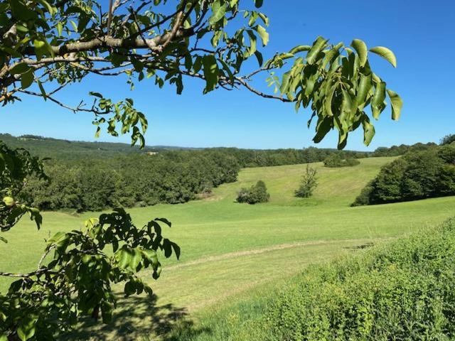 Domaine De Cazal - Gite 2 Pers Avec Piscine Au Coeur De 26 Hectares De Nature Preservee Villa แซงต์-ซีเพรียง ภายนอก รูปภาพ