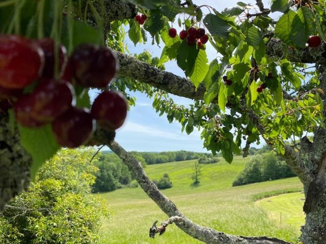 Domaine De Cazal - Gite 2 Pers Avec Piscine Au Coeur De 26 Hectares De Nature Preservee Villa แซงต์-ซีเพรียง ภายนอก รูปภาพ